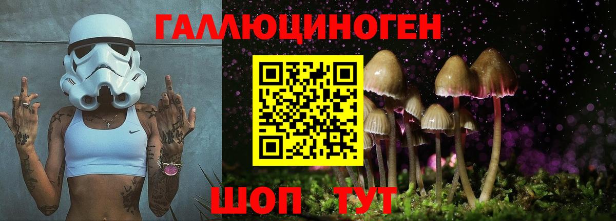 Галлюциногенные грибы мухоморы Азнакаево