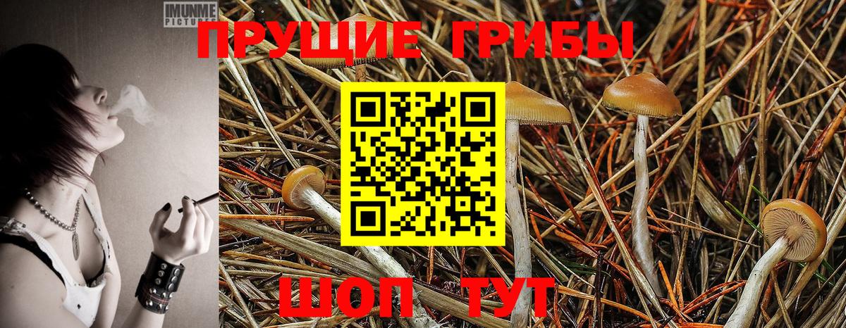 Галлюциногенные грибы мицелий  Галлюциногенные грибы GOLDEN TEACHER  Азнакаево  Вход с VPN 